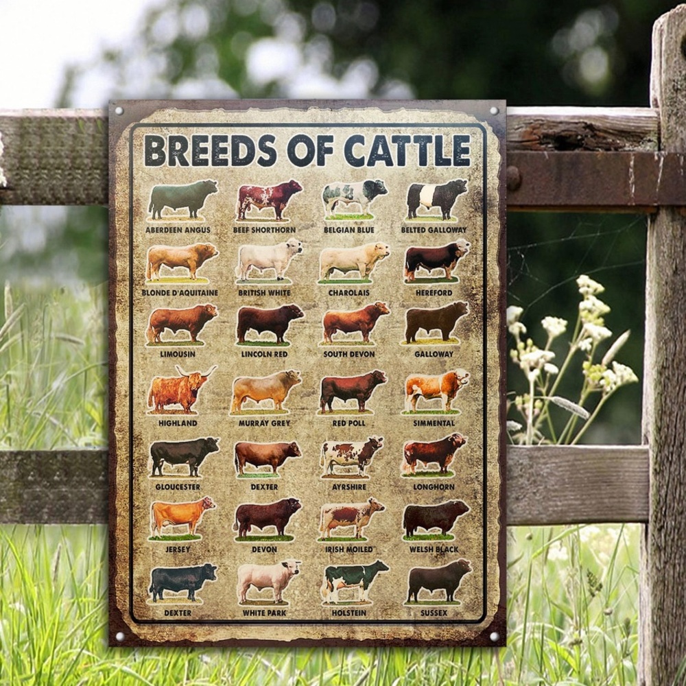 Breeds of Cattle Metal Tin Sign